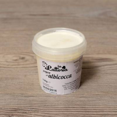 Yogurt all'albicocca (150g)